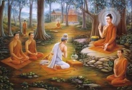 tambao2